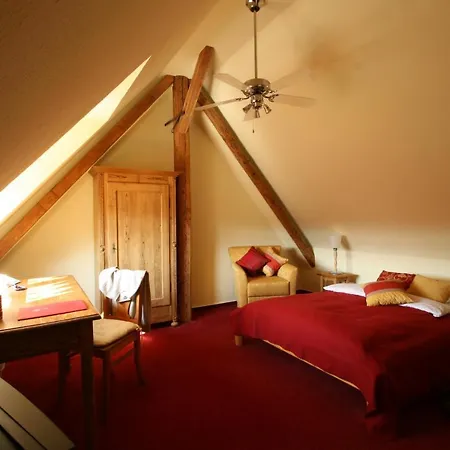 & Restaurant Grenzhof 4* Χαϊδελβέργη