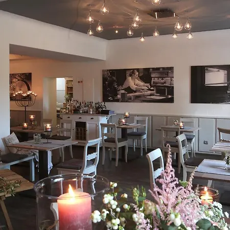 & Restaurant Grenzhof 4* Χαϊδελβέργη
